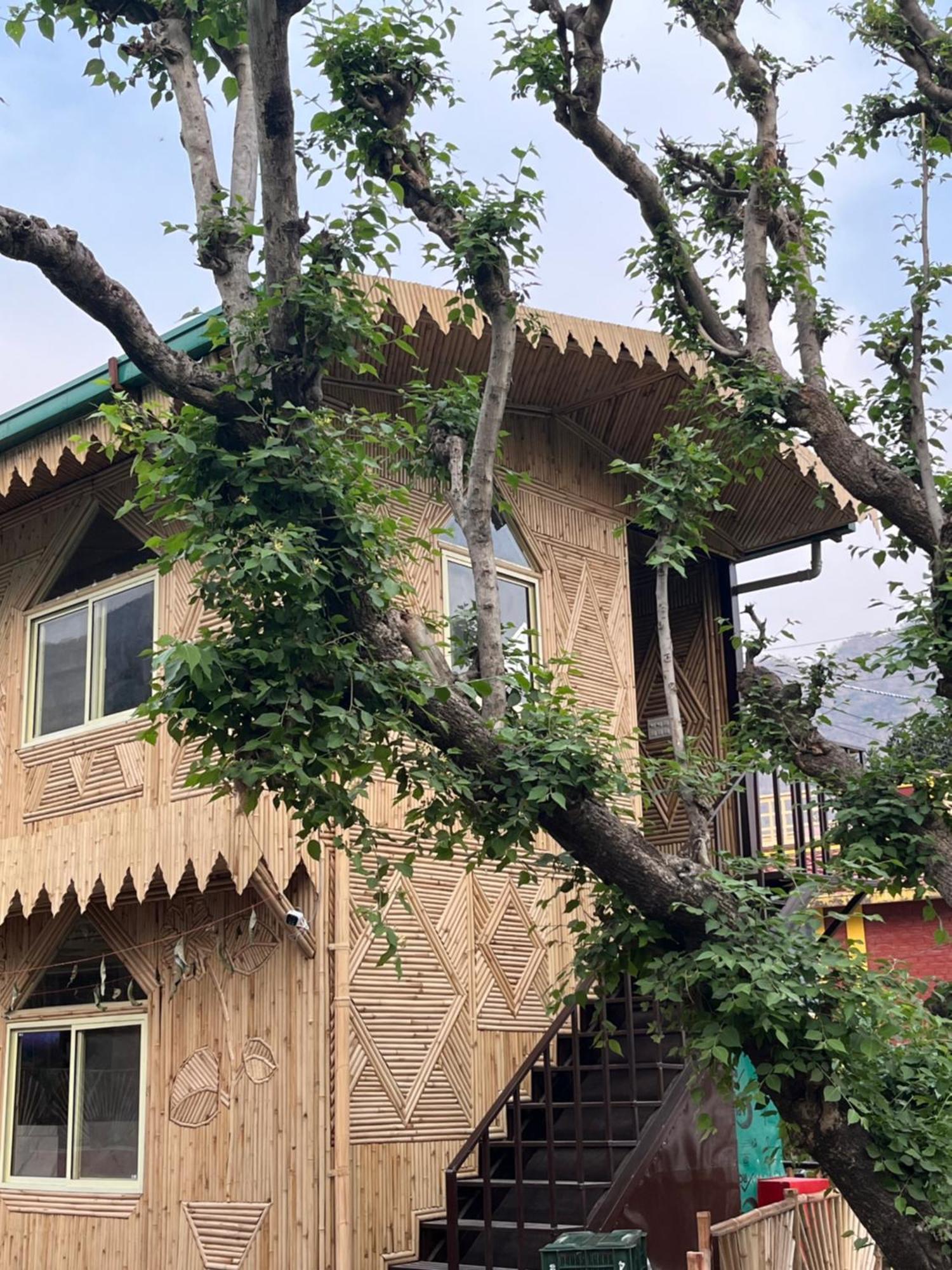 Bamboo Garden Cottages And Cafe Rishikesh Luaran gambar